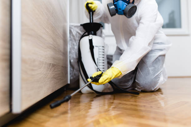 Reliable Irvington, NY Pest Control Solutions