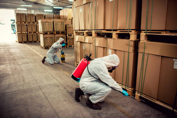 Best Best Pest Control Companies  in Irvington, NY