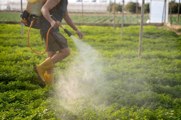 Best Pest Prevention Services  in Irvington, NY