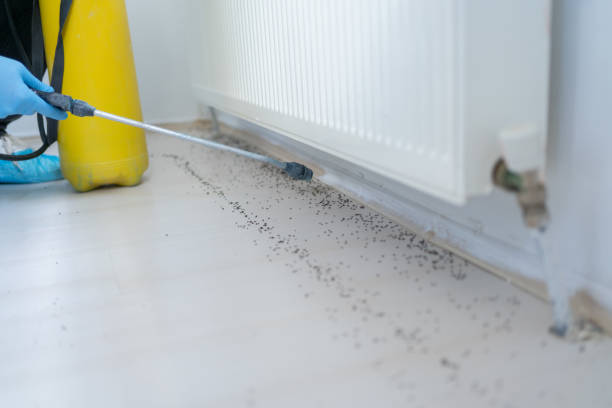 Best Affordable Pest Control Services  in Irvington, NY