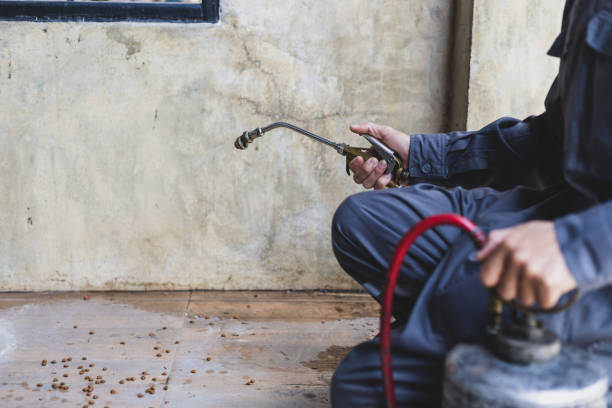Best Emergency Pest Control  in Irvington, NY