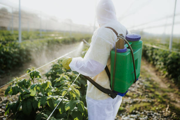 Best Ant Control Services  in Irvington, NY